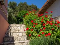 Apartments Villa Julija, Mali Losinj (Island Losinj)